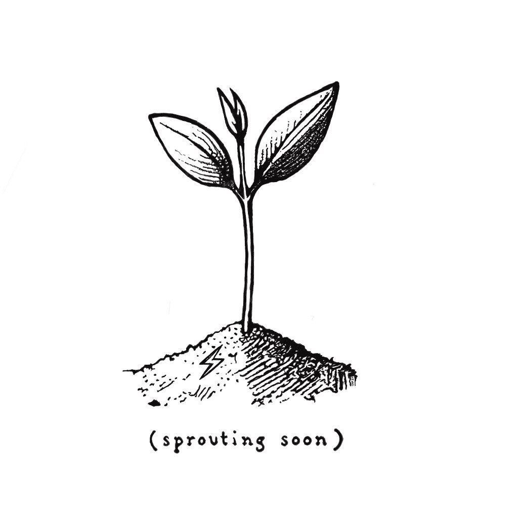 inscription 04365afc304ba5ed3374a15933785fa06830996af3e59585dfd83cd2793df98ai624