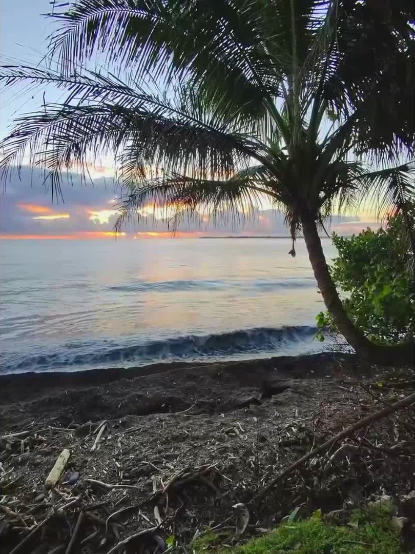 inscription 1071030852dd7c35b7d95fa54006da182d187313f9183658c0af4fb5a1b1ed23i0