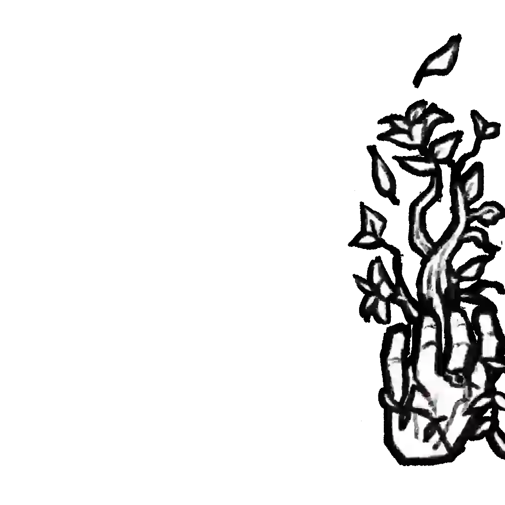 inscription 1a885320e2a439d051e3010fe32cacc295d632364bcf7ee53b5493276a369366i16