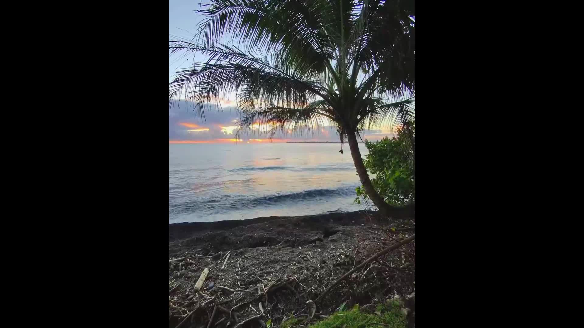 inscription 2134e98a2064dd5ce22a9969bfba204def7dc9954d92d8c100c439f6b7f07b84i2