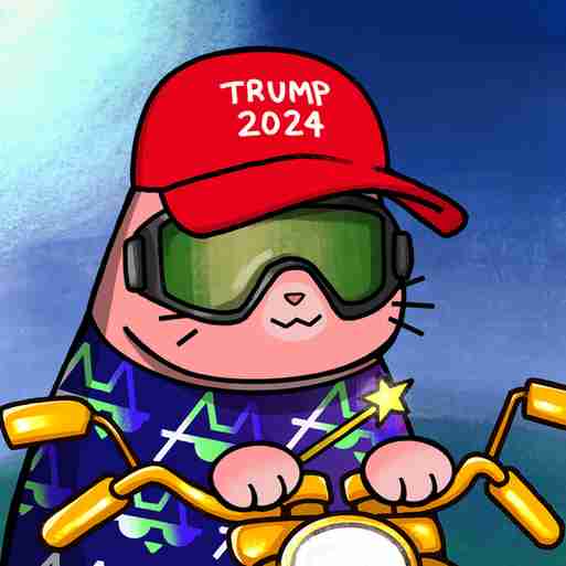 inscription 266b1267911dfb125c61a6fab8ad71eb2a039344c3f195814acfe94bb9d6401ci0