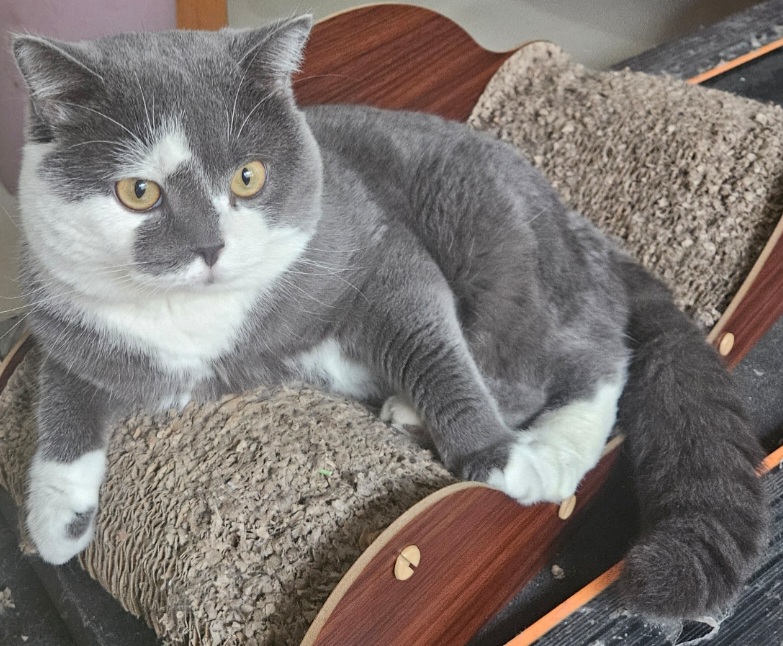 inscription 35acd6f59db9aae38c5aba7534683c160e46544a9180d47c9da3941906acbba0i0