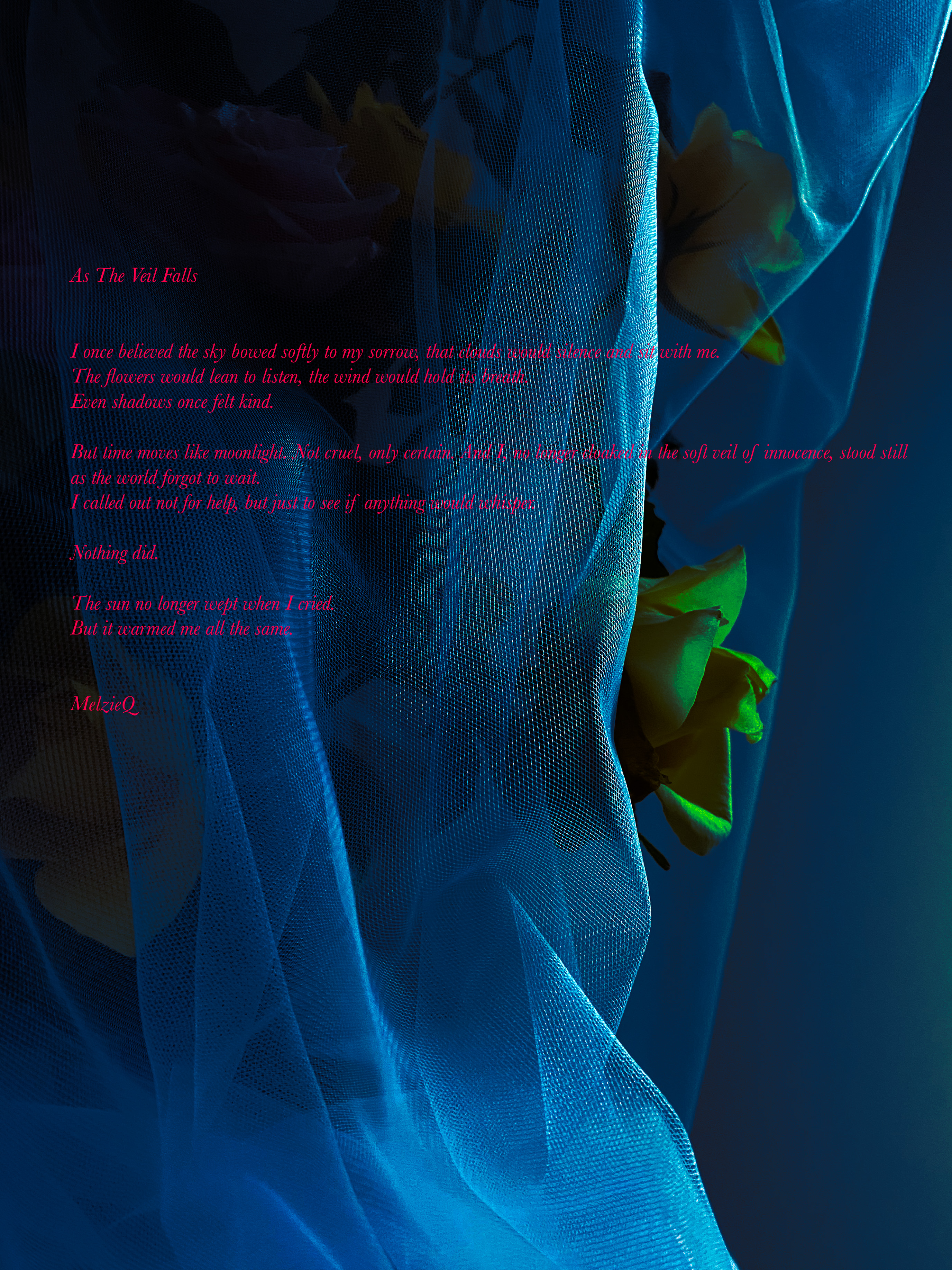 inscription 398160eb15596dd6d3a6b22028b003c3e53535ea8b2963cf47477c219d75d955i0