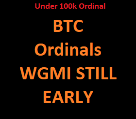 inscription 3b0467ee85db1c4229369376c887dd29fe6b89abecbe35fa463e414fbc2b225bi0