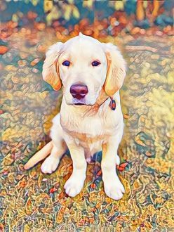 inscription 471bf06b61c6091ab0ab5182acb4e908bb3d723daaf5dee3a36dbe49bfff9308i0