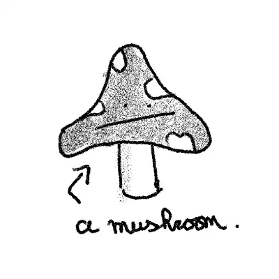 inscription 48026bb0f9fc58c16b74213658c4552cf2a194fd57d8935905bd8327fbae3204i5