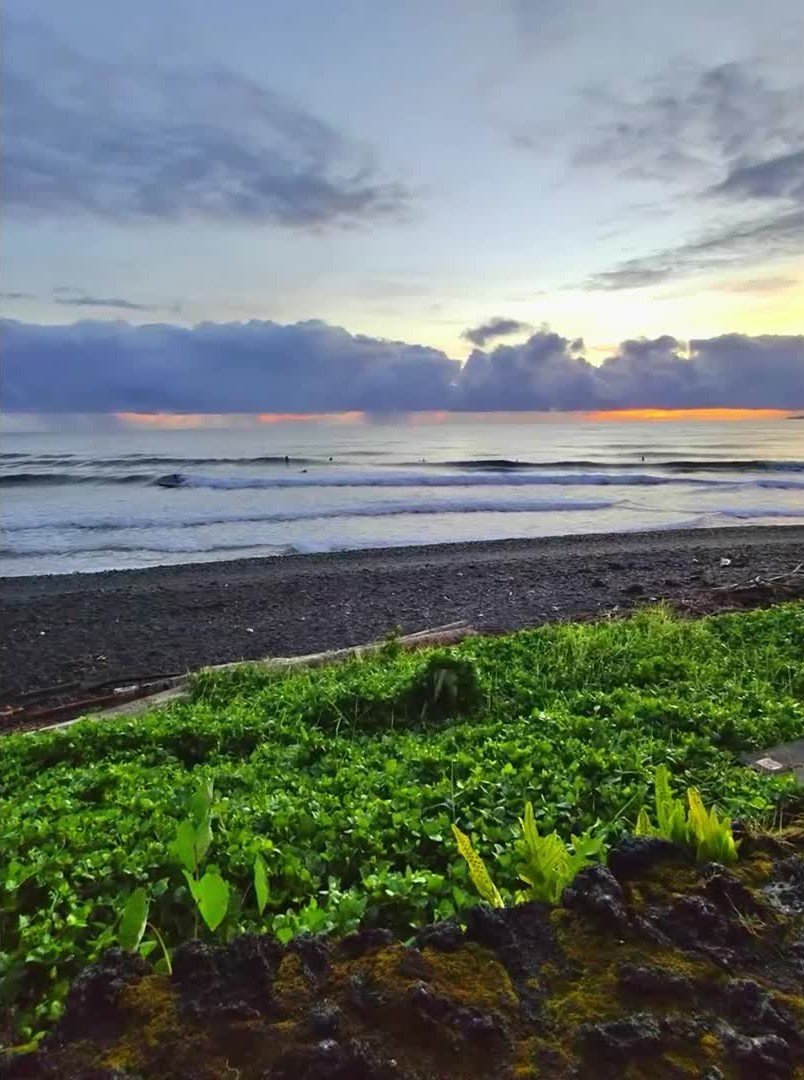 inscription 4d524ad6359435923c32717e74757da352bf510cea43a8e46b02f865732932cfi0