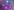 inscription 50df558c09337e9a3b41099e042a73cf81bee177c3cff64ec3f68f9186c1cd8ci0