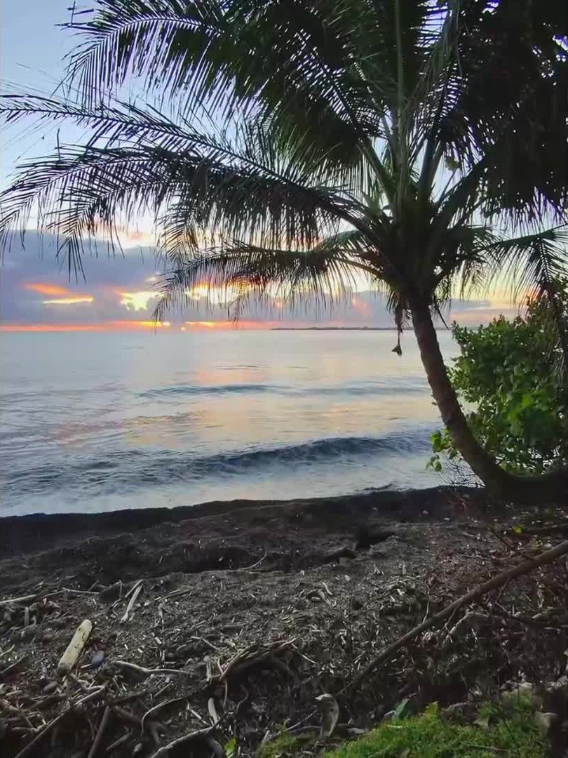 inscription 62b9011ed10e5966e9fe319e3109e2c82d6fa7834623d1c4dafa89d72206f5c8i0