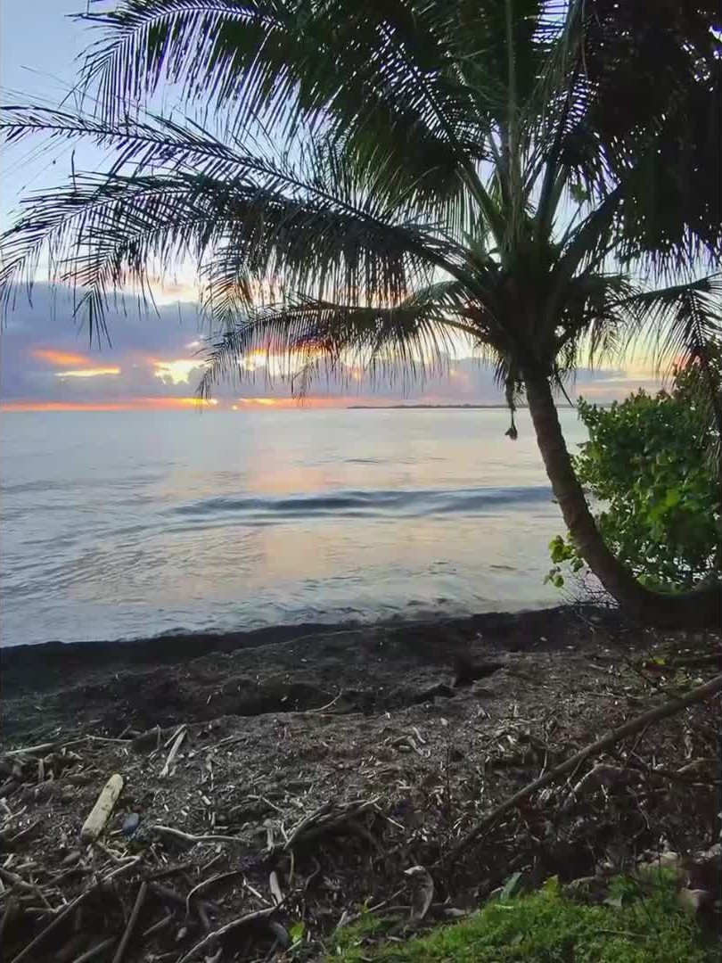 inscription 63425645ea52dc5e106456fd999d4924d2d02eb5fcc74e8c793f06ab253bec11i0