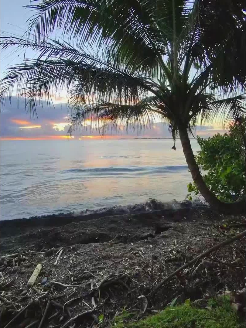 inscription 7955911a396e5390ee6582b0cdd3e7b0d433cbb2d61ea5785ea20d80716f0752i0