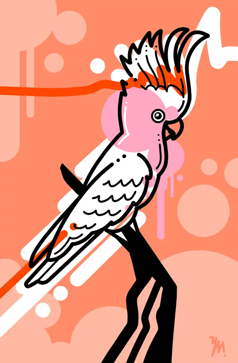 inscription 797bd2e3656cd69897c42390bd67b2a83c23711a7fc693c7edd1abb93389b927i0