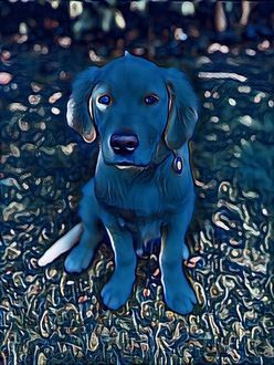 inscription 7f48582914dce467fb5eba40328b95d402a79a49256658c653e237e0433584ffi0