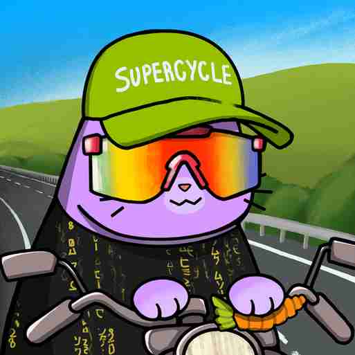 inscription 846631c2e0e5272b5fd9e513482616578d5685d7e3cd344ff960286e1ba37b93i17