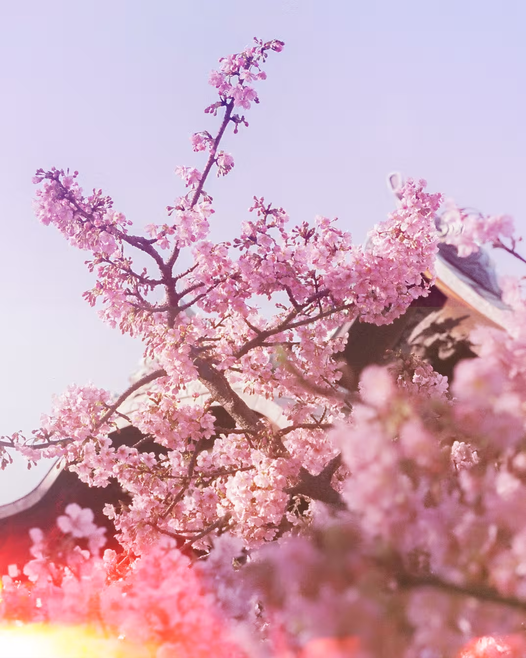 inscription 89636a49f731db9247b6effe455746e90f0b5f37c5548da7baf72dbbda1ebf2ai2