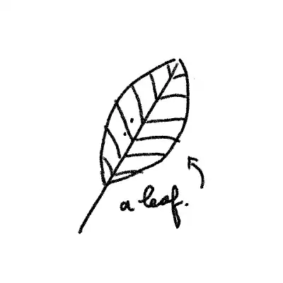 inscription 9d782976d0cbd8b668d8cd2e23d26c92f1e87fb2271a6cc728343d5bd6f1280ei0