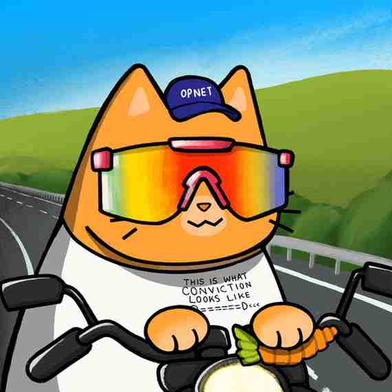 inscription ac6c11ae6f5929bcc3d79271e85f115f2733d8d86f1a2e31f5404aff209f601ci14