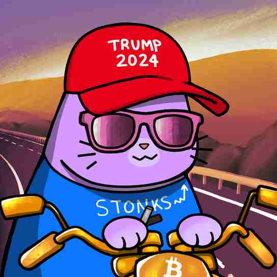 inscription b60e3b39bc6e57f527feaaf71534c6799a1fb6086dd3efbd0e18b8021a81d736i14