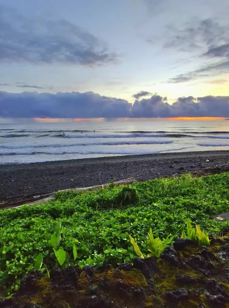 inscription f1095e4714b1fb0fba480a5b4ca27fbb2754b7b7416b75e513b423c3c37e51e4i1